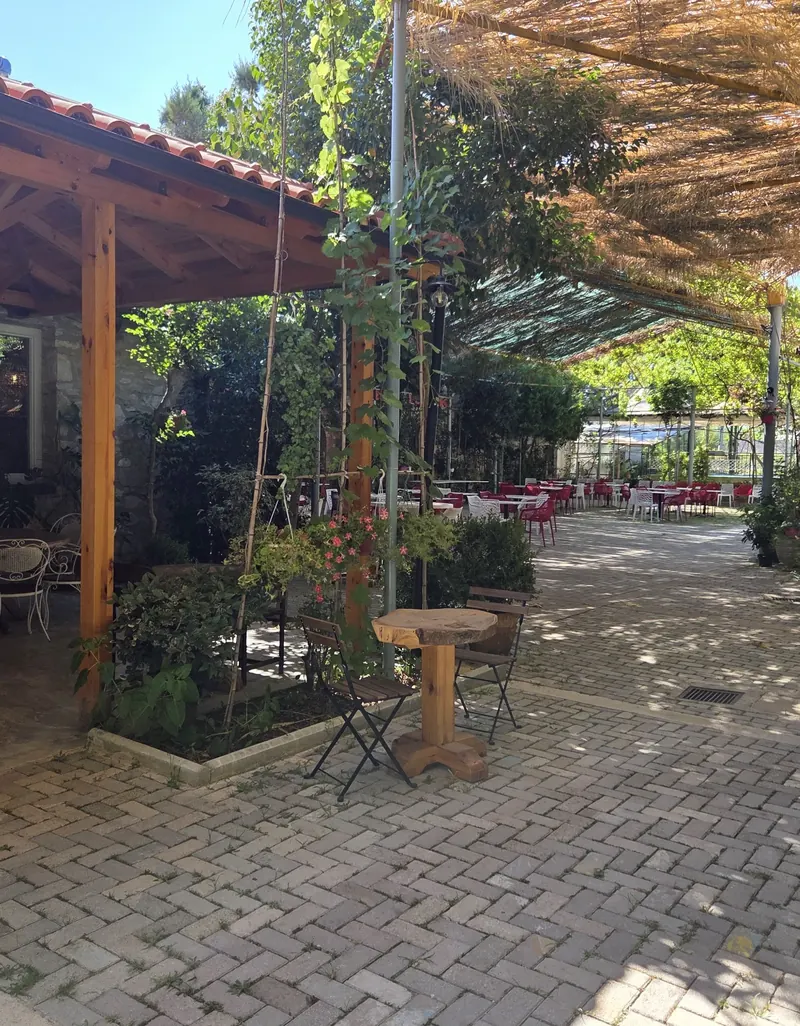 The brick path through the garden courtyard, under timber pergolas and climbing plants